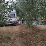 Parque de Campismo Jacuzi In The Olive Grove Pula