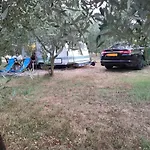 Parque de Campismo Jacuzi In The Olive Grove Pula