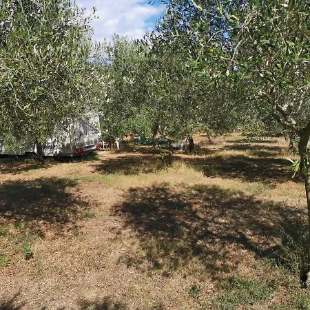 Jacuzi In The Olive Grove * פולה