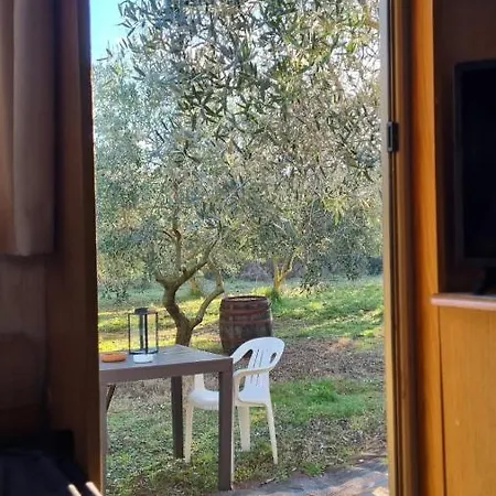 Jacuzi In The Olive Grove Kamp Pula