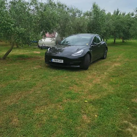 Kamp Jacuzi In The Olive Grove Pula