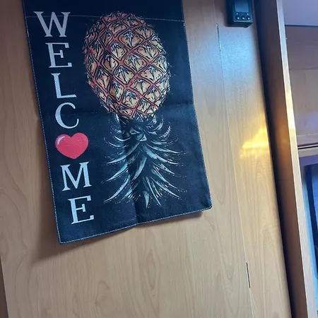 Jacuzi In The Olive Grove