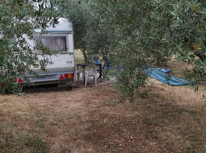 Кемпінг Jacuzi In The Olive Grove Пула
