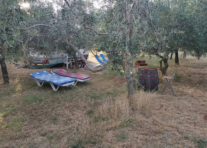 Jacuzi In The Olive Grove Кемпинг Пула