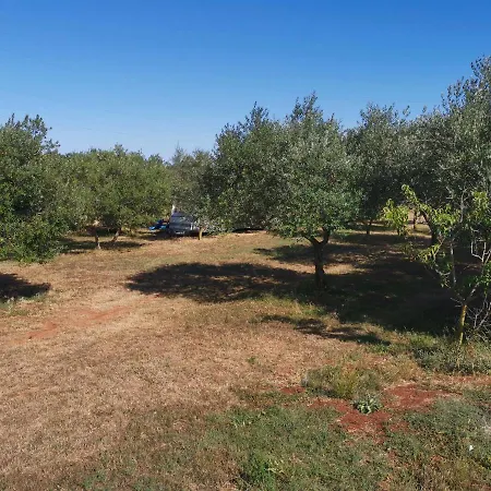 Jacuzi In The Olive Grove Campsite Pula