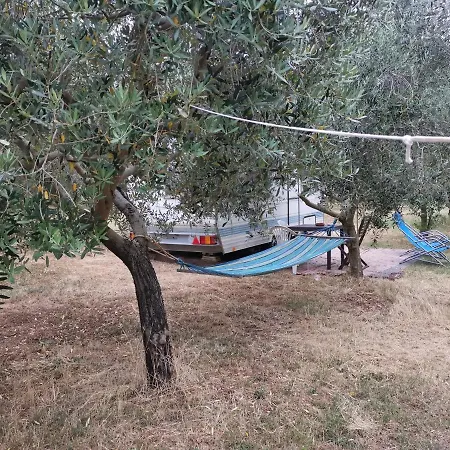Jacuzi In The Olive Grove Kamp alanı