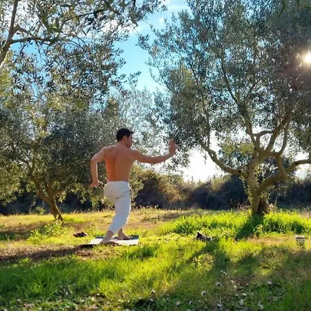Camping Jacuzi In The Olive Grove