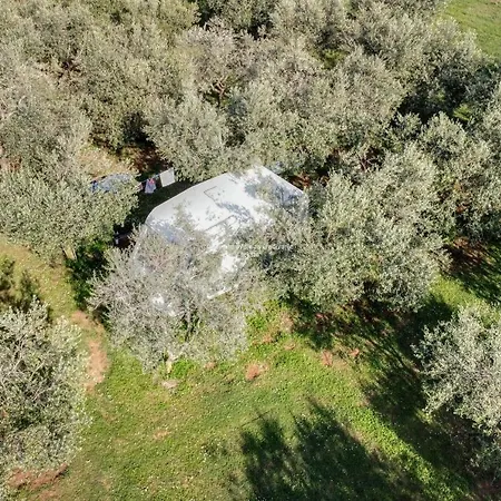 Campsite Jacuzi In The Olive Grove Pula