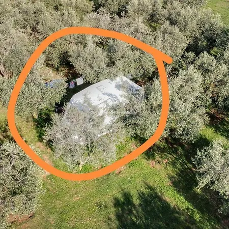 Jacuzi In The Olive Grove *