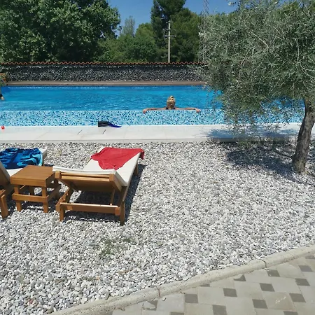 Jacuzi In The Olive Grove