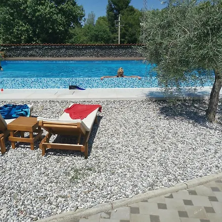 Jacuzi In The Olive Grove