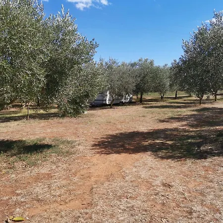 Jacuzi In The Olive Grove Kamp alanı Pula