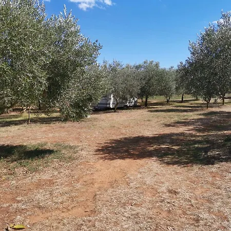 Jacuzi In The Olive Grove مكان تخييم بولا