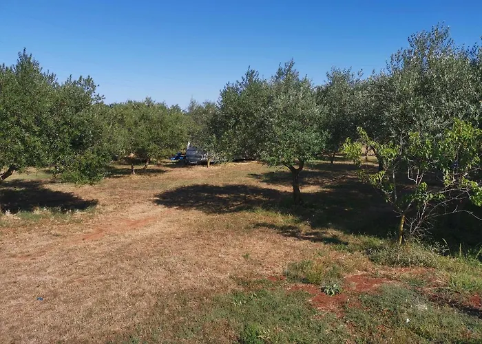 Jacuzi In The Olive Grove Campingplads Pula