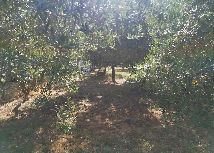 Jacuzi In The Olive Grove Campingplads *