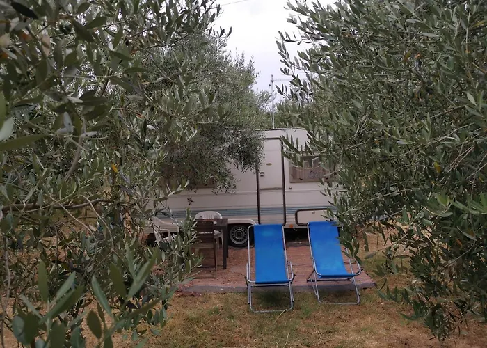 Jacuzi In The Olive Grove Campingplads *