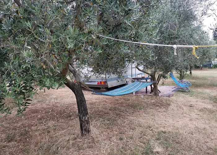 Jacuzi In The Olive Grove 캠프장