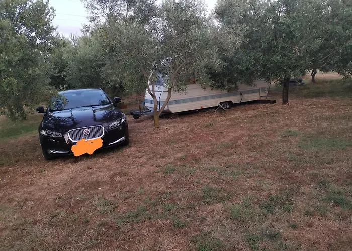Jacuzi In The Olive Grove 풀라