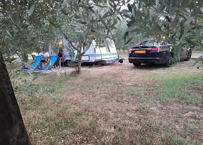 캠프장 Jacuzi In The Olive Grove 풀라