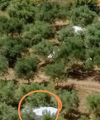 Jacuzi In The Olive Grove