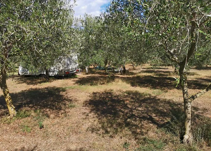 Jacuzi In The Olive Grove * Pula
