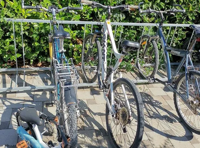 Jacuzi In The Olive Grove *