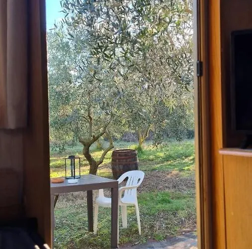 Jacuzi In The Olive Grove Campingplads Pula