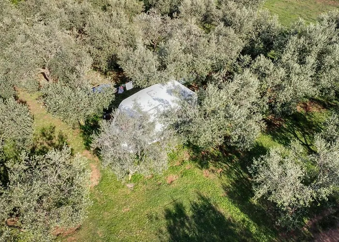 Campingplads Jacuzi In The Olive Grove Pula