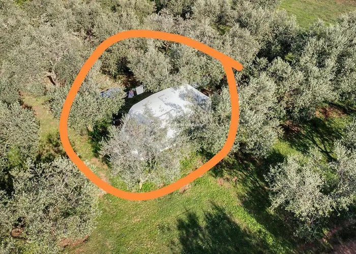Jacuzi In The Olive Grove *