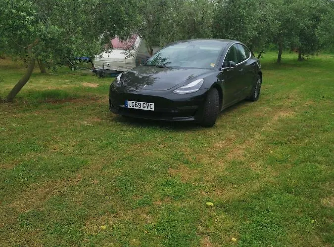 Campingplads Jacuzi In The Olive Grove Pula