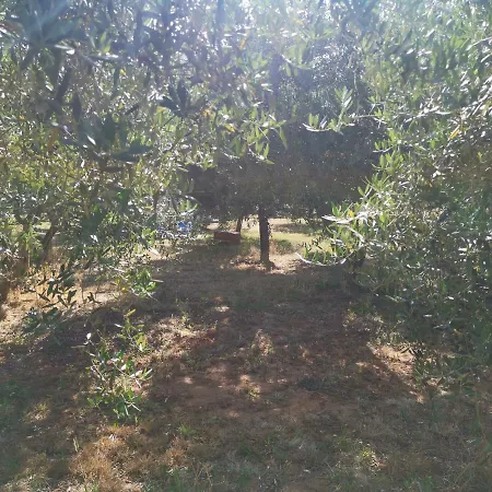 Jacuzi In The Olive Grove Campsite *