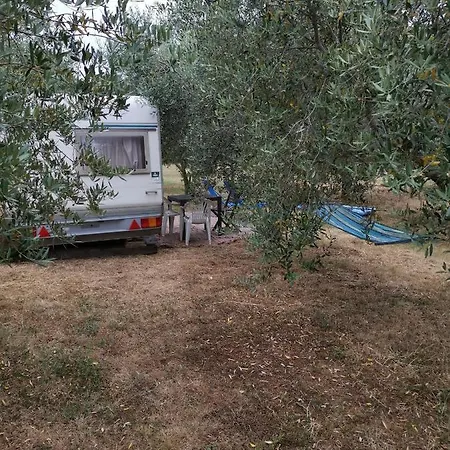 Campsite Jacuzi In The Olive Grove Pula