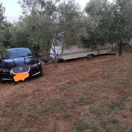 Jacuzi In The Olive Grove Pula