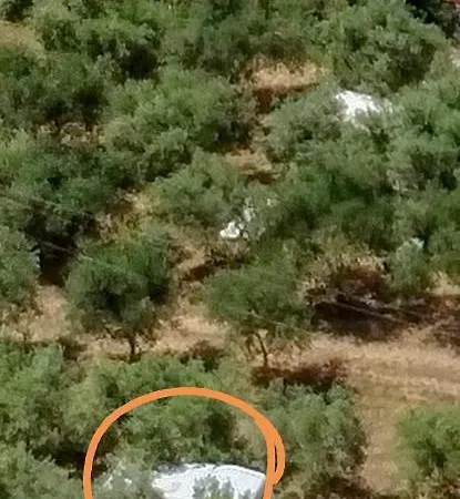 Jacuzi In The Olive Grove