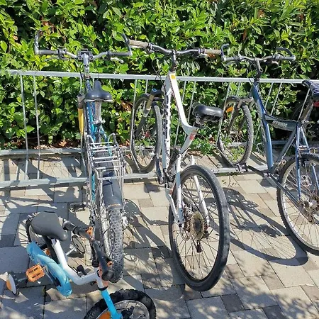 Jacuzi In The Olive Grove *